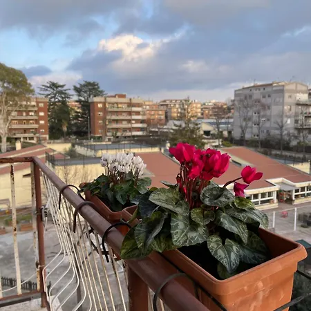 Ilaria's Roma